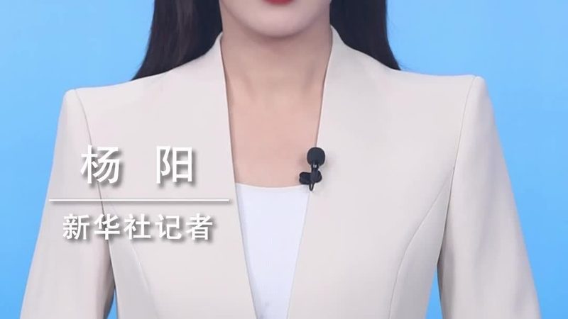 智慧解决方案项目验收标准：如何确保项目质量与性能**